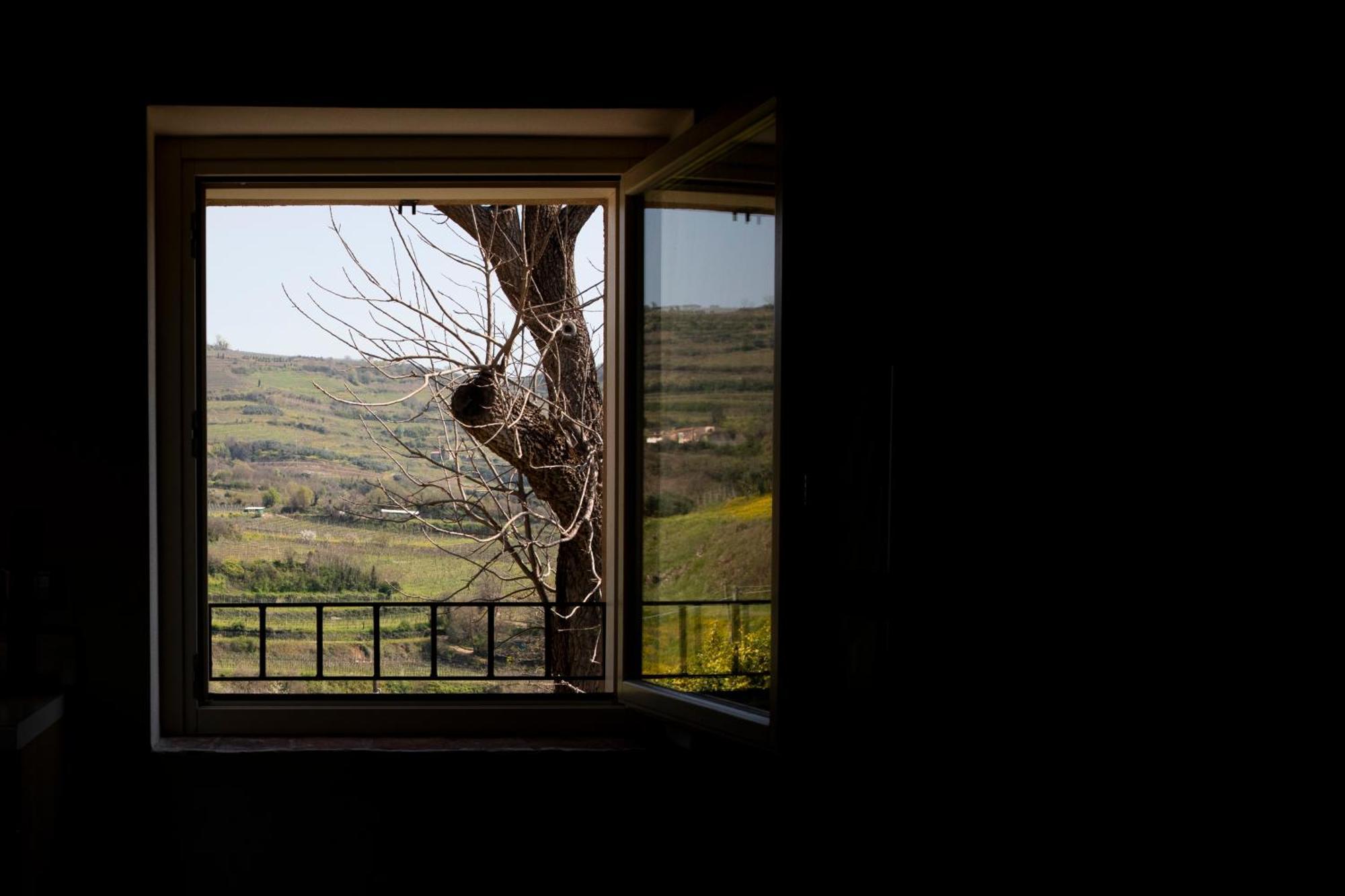 Corte Dei Soavi Suites - Apartments Soave  Eksteriør billede